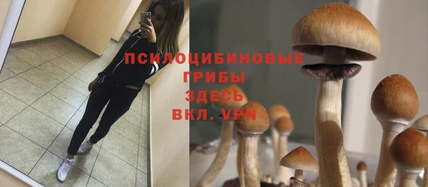 сатива Абаза