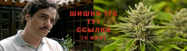эйфоретик Абинск
