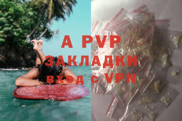сатива Абаза