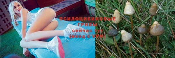меф Алзамай